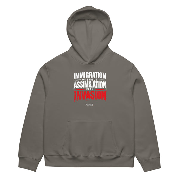 Immigration & Assimilation Heavyweight hoodie